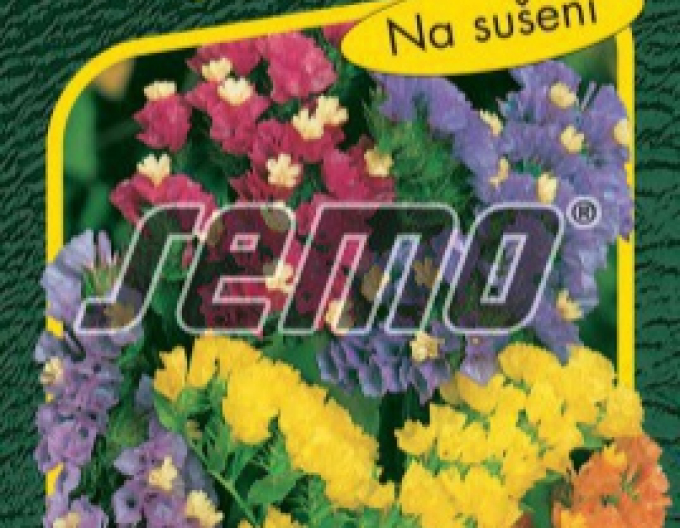 Semo semințe de Limonium - amestec pentru uscare