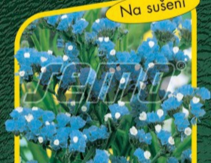 Semo semințe de Limonium ´Blue´