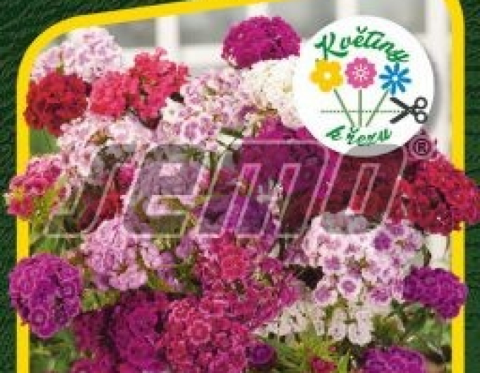 Semo semințe de garoafe ´Fragrance Mix´