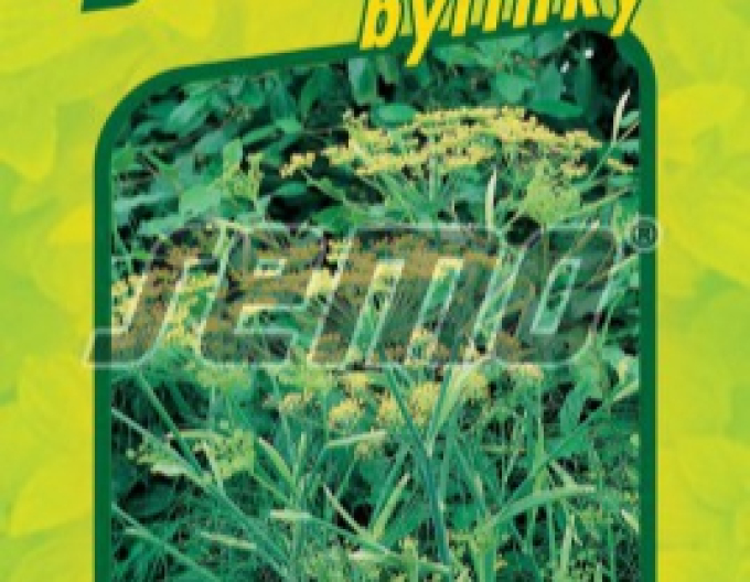 Semo semințe de fenicul