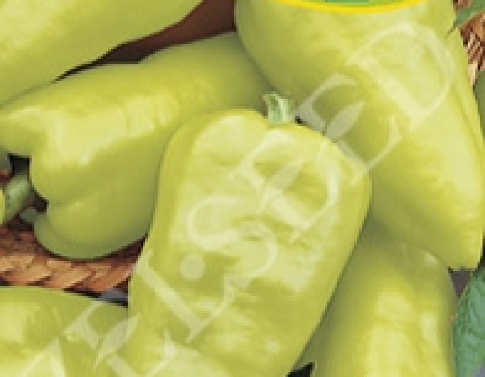 Zelseed Ardei ușor iute pentru accelerare ´PCR´