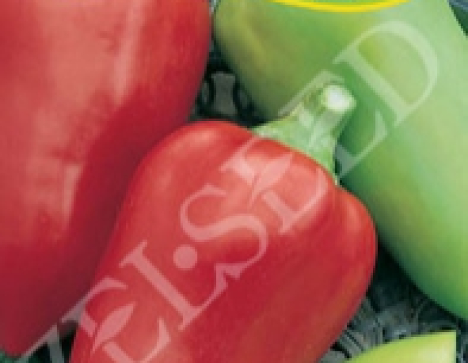 Zelseed Ardei anual ´Polanova´