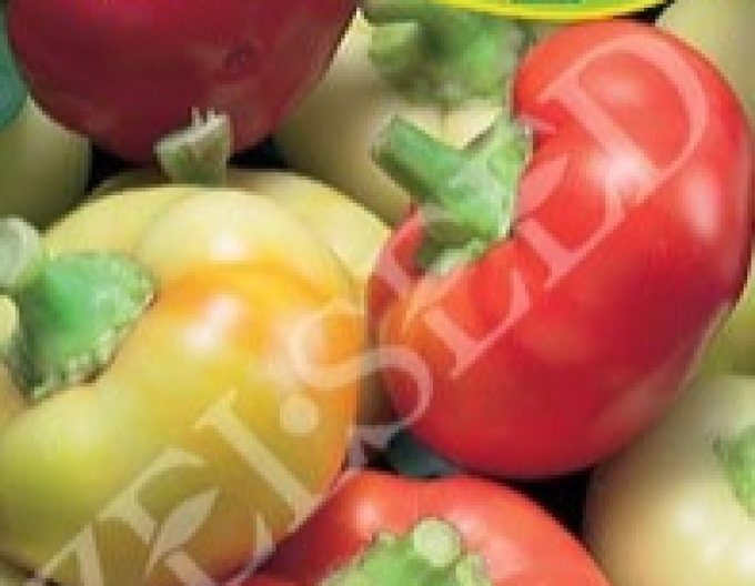 Zelseed Ardei iute tip „Măr”´Ilika´