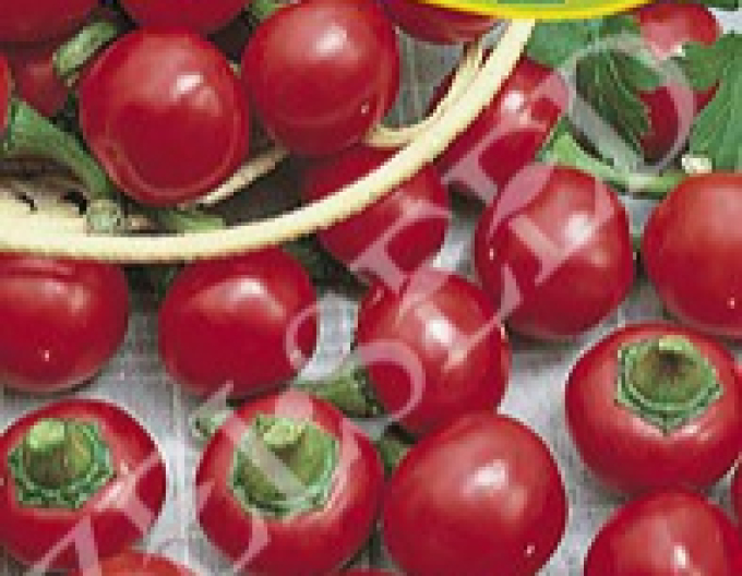 Zelseed Ardei iute cherry ‘Korál’