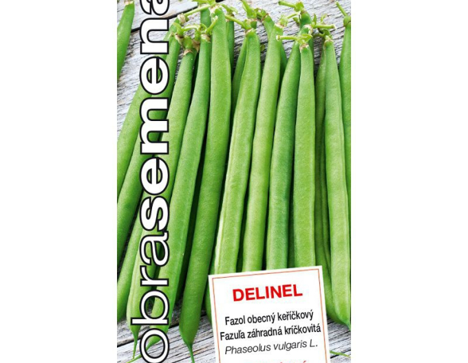 Fasole pitică Delinel
