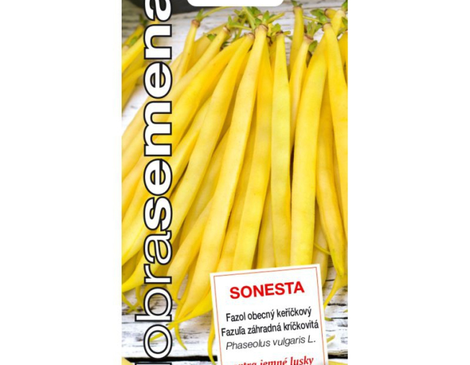 Fasole pitică  Sonesta