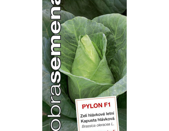 Dobra Semena Varză albă ´Pylon F1´