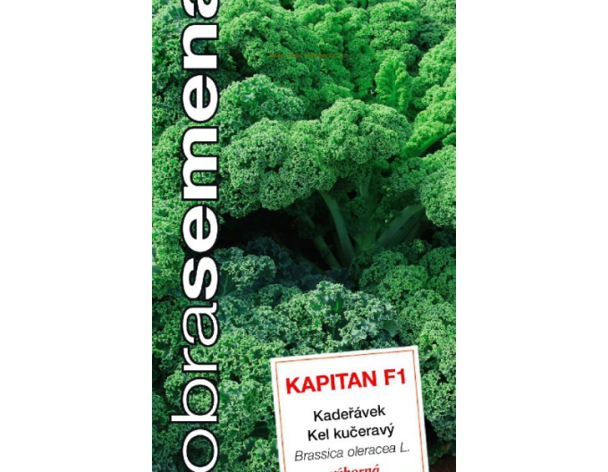 Varză creață  Capitan F1