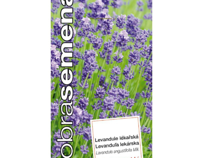 Semințe de lavandă