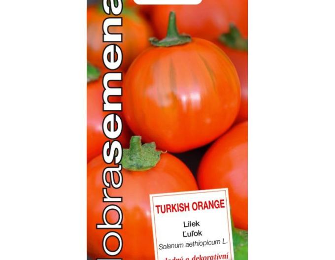 Vinete (bulb de vinete) ´Turkish Orange´