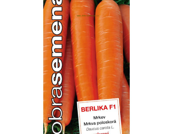 Semințe de morcov ´Berlika F1´