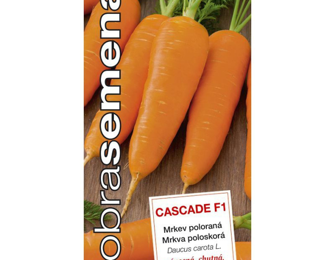 Semințe  de morcov Cascade F1´