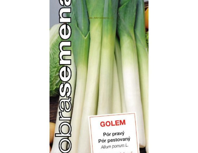 Semințe  Praz cultivat de "Golem