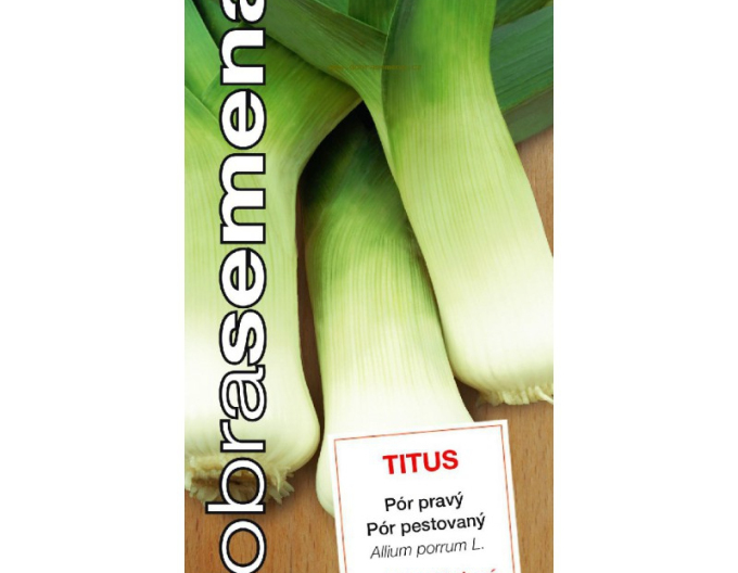 Semințe  Praz cultivat "Titus