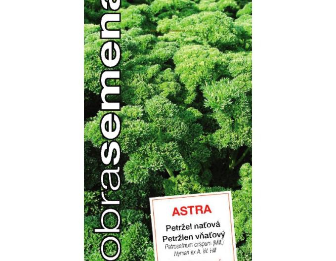 Pătrunjel de grădină Astra semințebune
