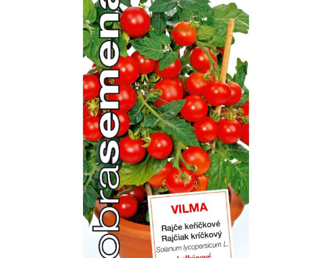 Semințe Tomate de balcon  Wilma
