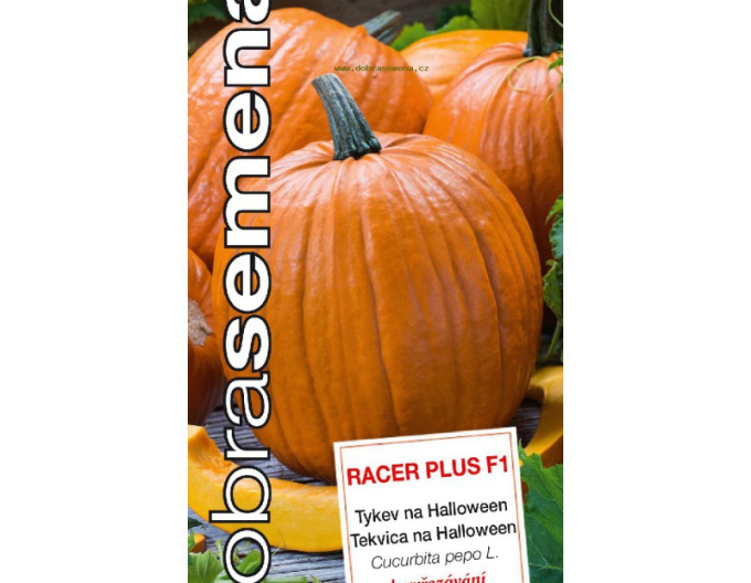 Dovleac gigant Racer Plus F1´