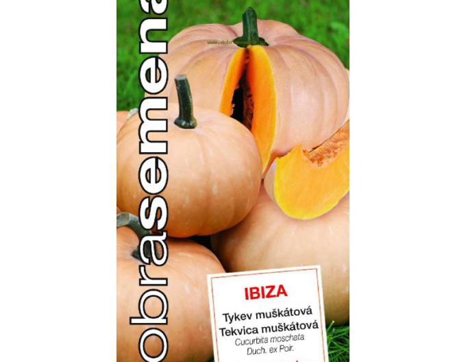 Dovleac muscat ´Ibiza´