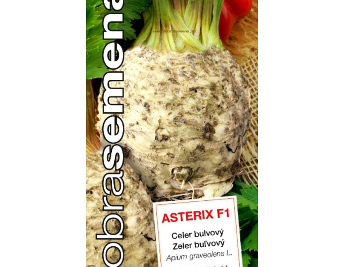 Semințe Țelină rădăcină Asterix F1´