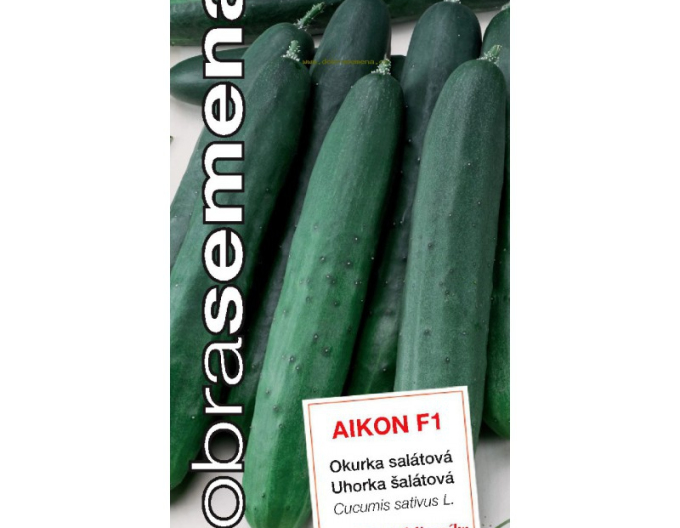 Castravete cultivat pentru salată  ´Aikon F1´