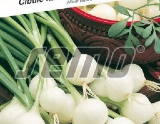 Semințe Ceapă de primăvară "Pompei