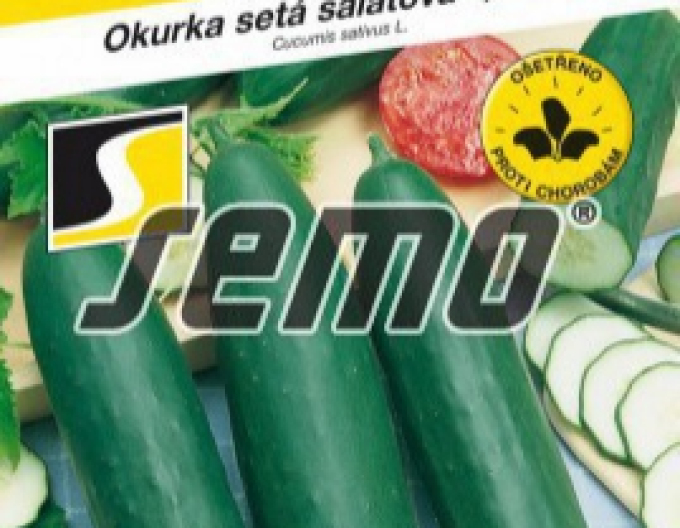 Semo Castravete cultivat pentru salată ´Linda F1 Mix´