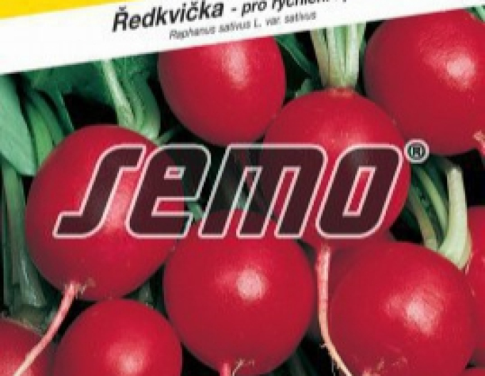 Semo Semințe de ridiche ´Prima´