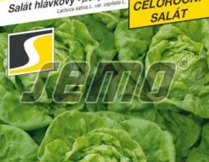 Semo Salată  ´Bremex´