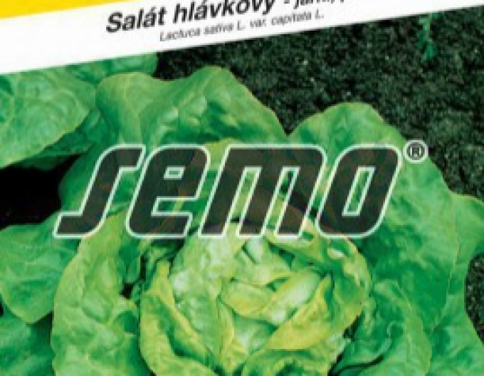 Semo Salată de primăvară  ´King of May I.´