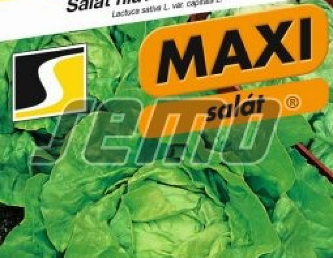 Semo Salată de vară ´Jupiter´