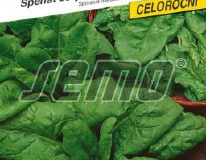 Semo Spanac ´Sacramento F1´