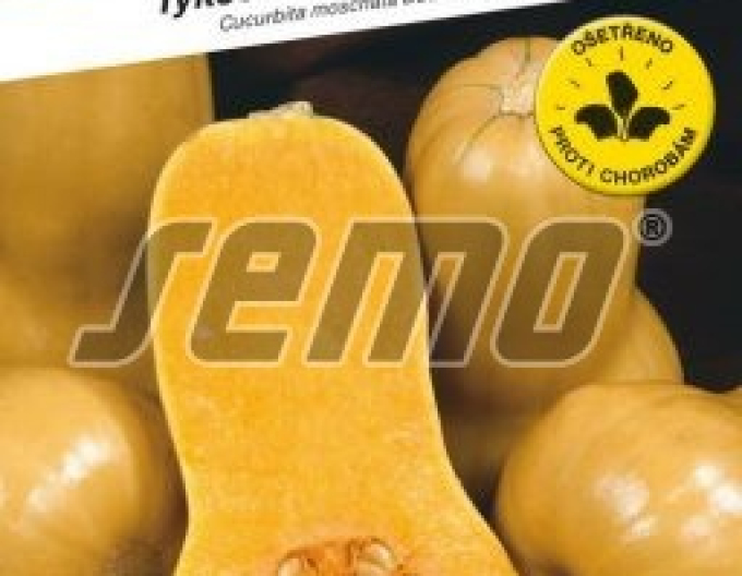 Semo Dovleac muscat ´Stella F1´