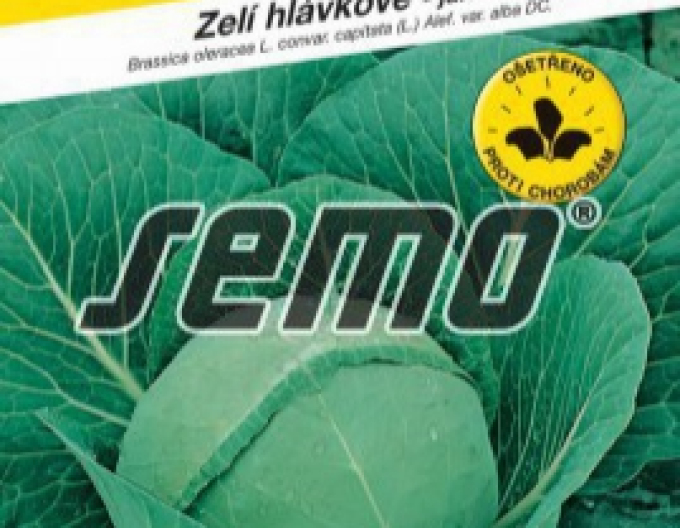 Semo Varză albă ´Sláva F1´