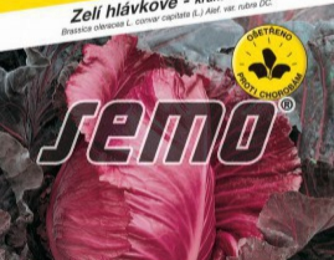 Semințe Varză roșie ´Kalibos´