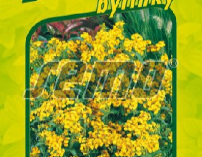 Semo Tagetes mexicană