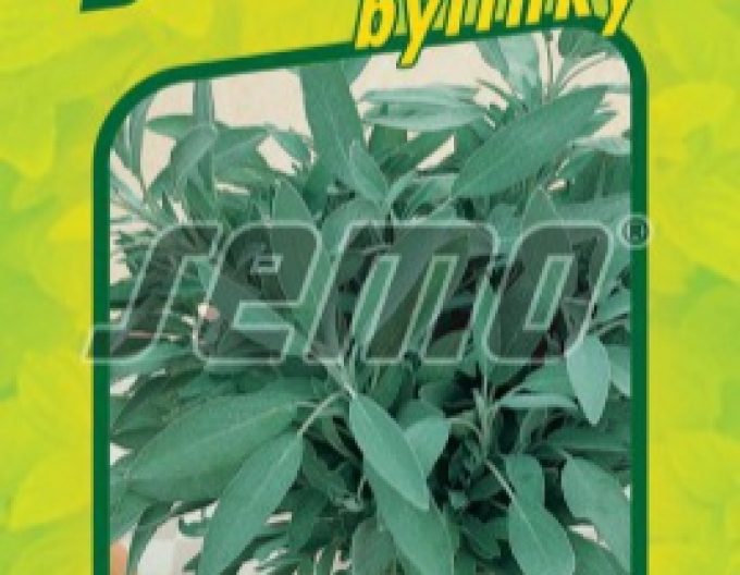 Semo Semințe de salvie