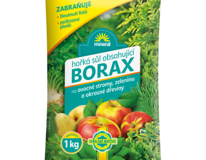 Forestina Sare amară cu borax 1kg