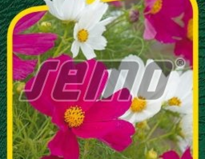 Semo Cosmos ´Gazebo Mix´