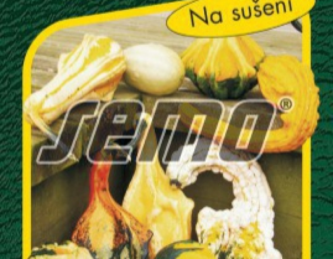 Semo Dovleac ornamental „Aripi Îngerești“