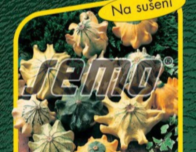 Semo  Dovleac ornamental ´Crown of Thorns´