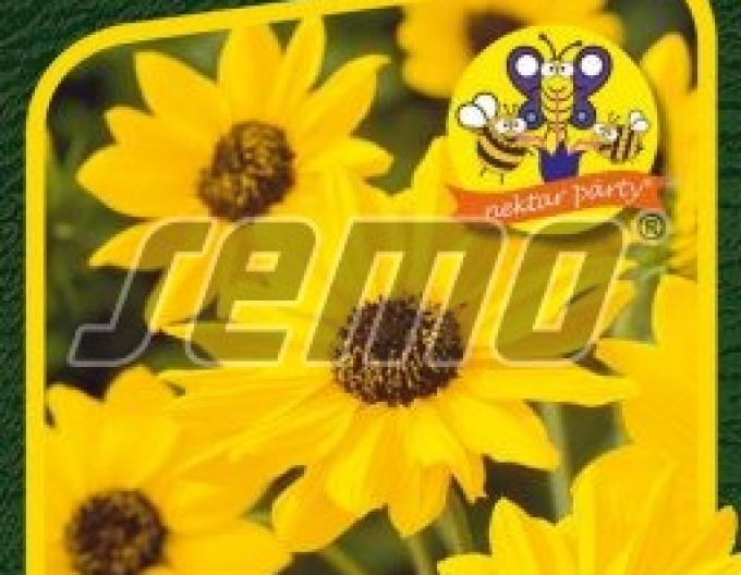 Semo Semințe de floarea soarelui ´Sunny Babe´