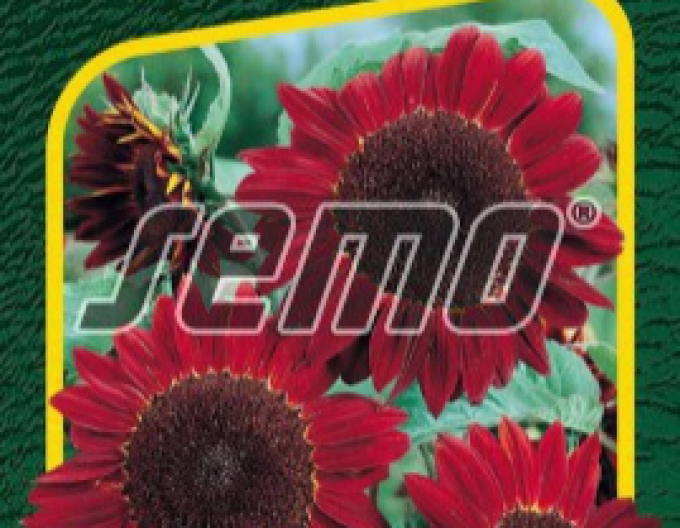 Semo Semințe de floarea soarelui ´Red´
