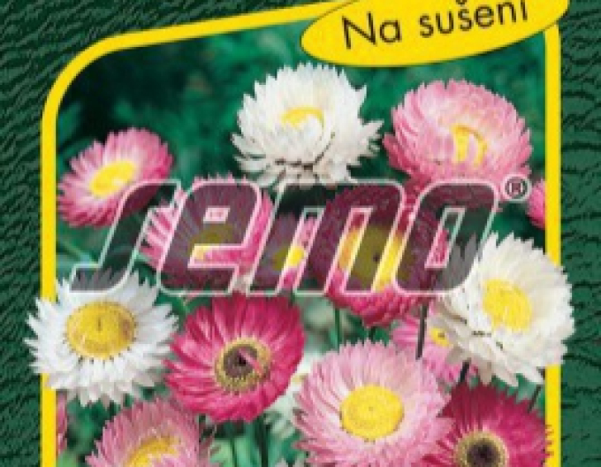 Semo semințe de immortelă roz ´Mixture´