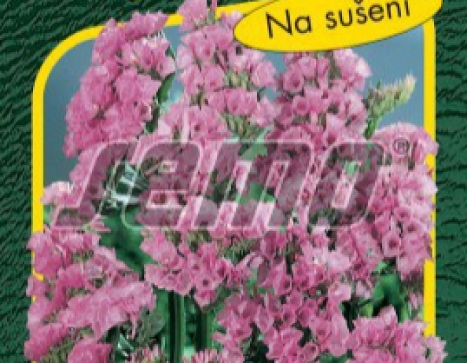 Semințe de lămâie ´Rosea Superba´