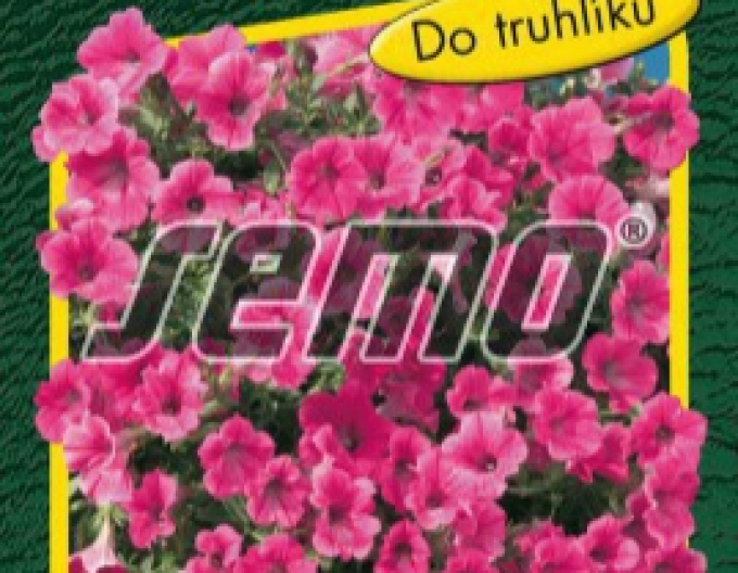 Semo semințe de petunie ´Rose Vein Velvet F1´