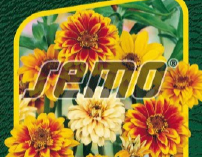 Semo Semințe de cârciumăreasă ´Hageo Mix´