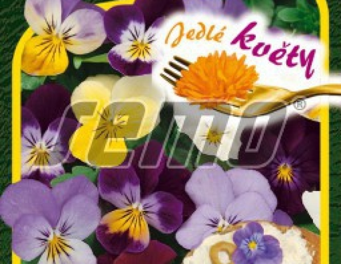 Semo Semințe de Violete´Flori verzi´