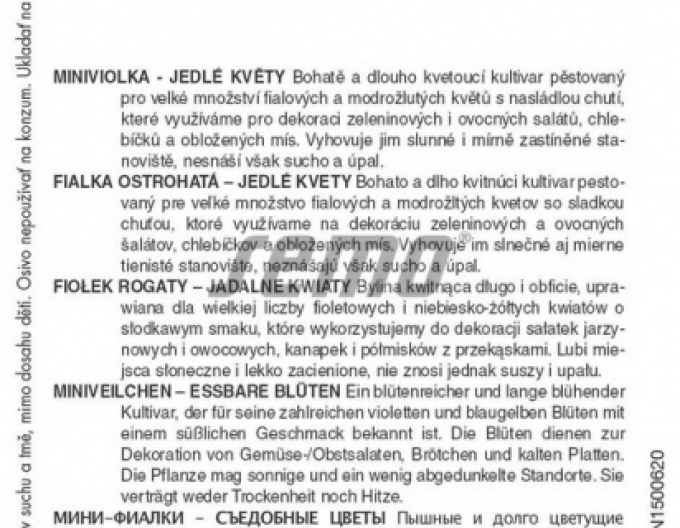 Semo Semințe de Violete´Flori verzi´