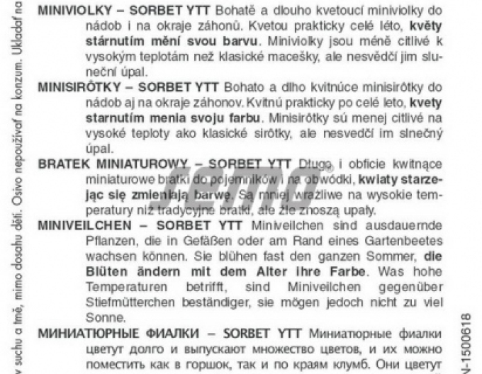 Semo Semințe de Violete  ´Sorbet Ytt´