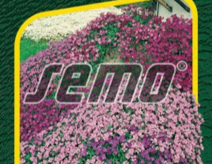 Semințe de aubrietă pentru stâncări ´Mixture´